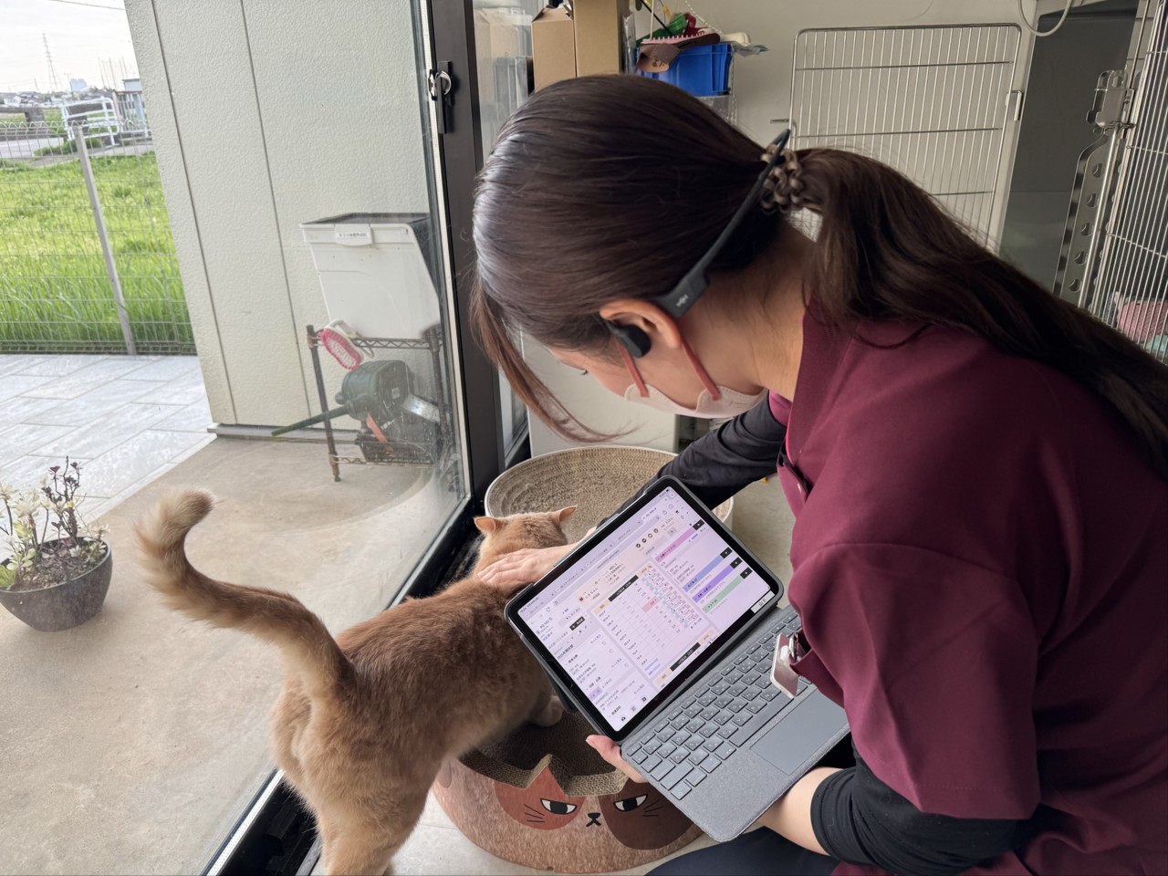 女性スタッフさん記録中 猫ちゃん