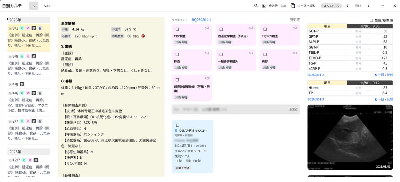 日別カルテ画像